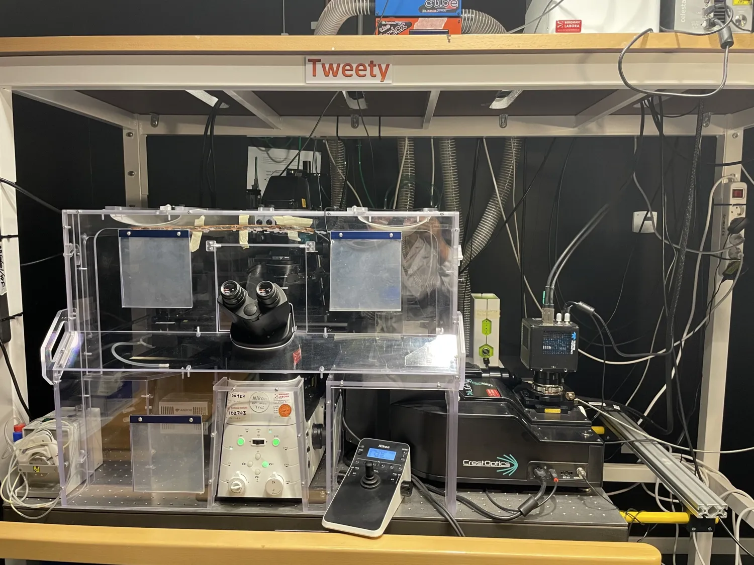 Nikon Ti2 microscope with CREST spinning disk