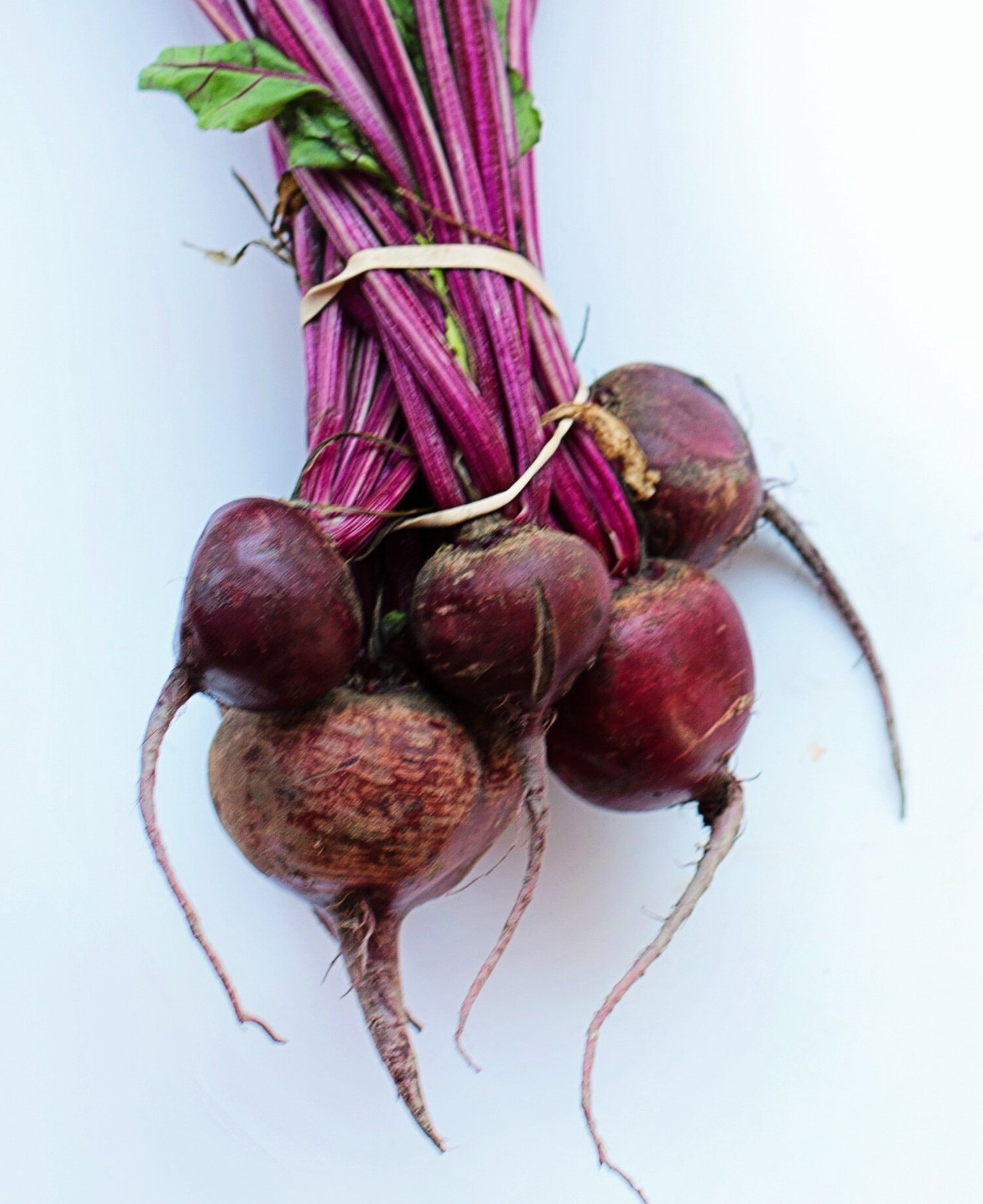 Ett knippe rödbetor mot en neutral bakgrund.