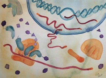 Illustration av Ina Schuppe Koistinen för Claudia Kutters forskningsfokus