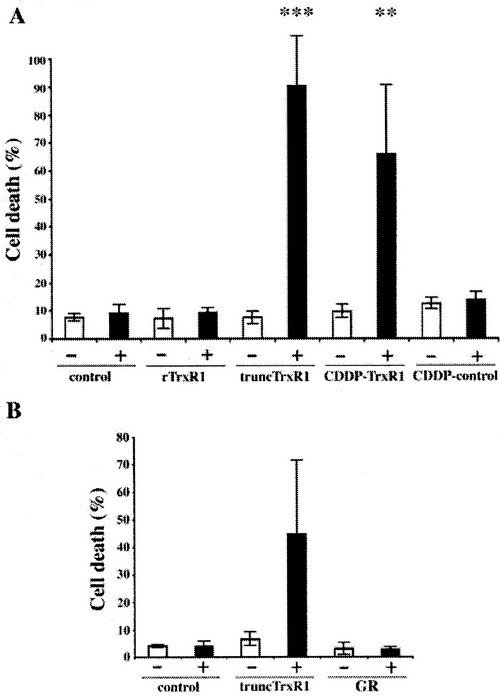Selenium compromised TrxR1 can directly induce apoptosis.