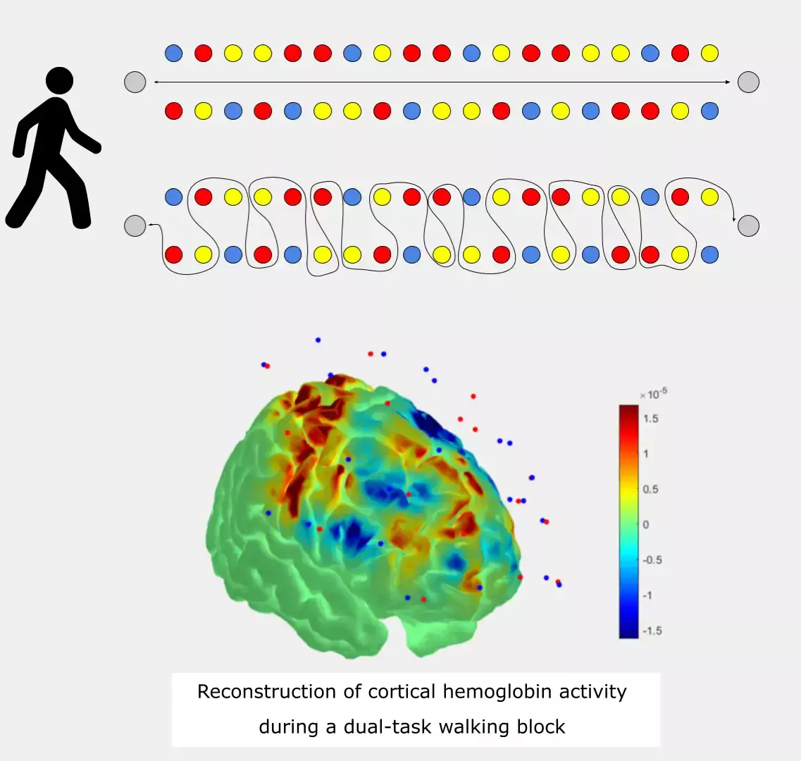 Example output illustration of the complex walking experiment