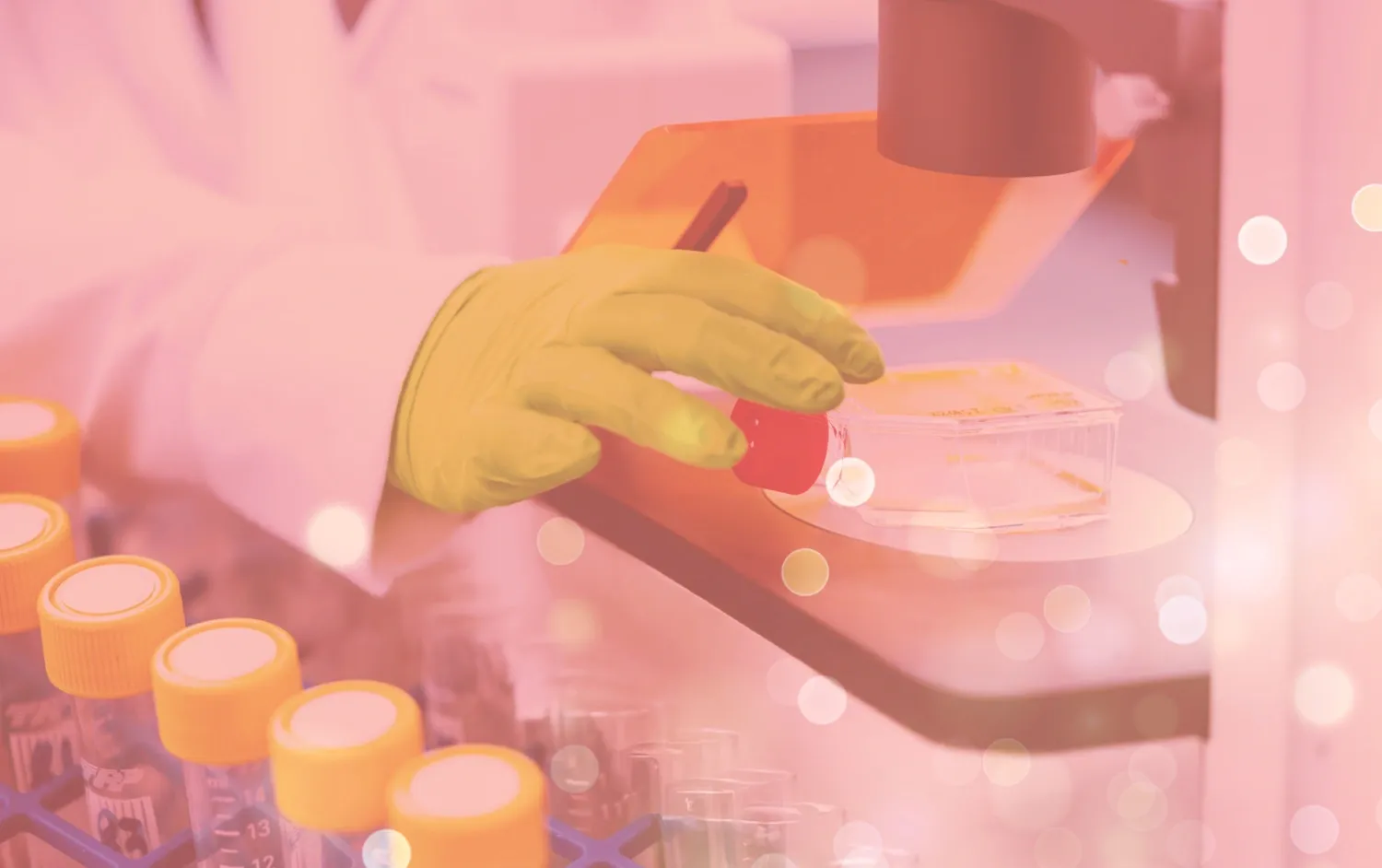 Research image from lab