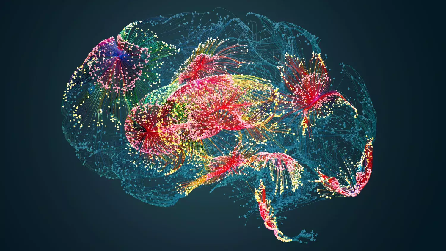 Colourful brain