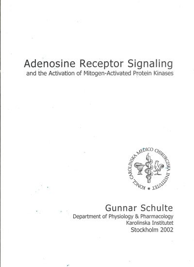 doctoral thesis covers