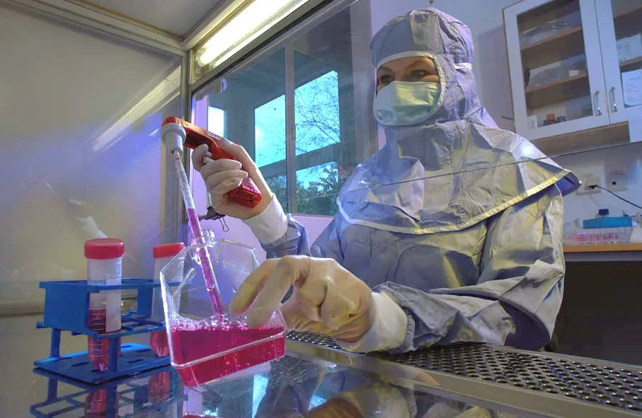 Karolinska Cell Therapy Center and Vecura