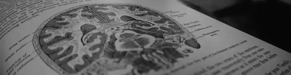 A picture of a brain in a textbook