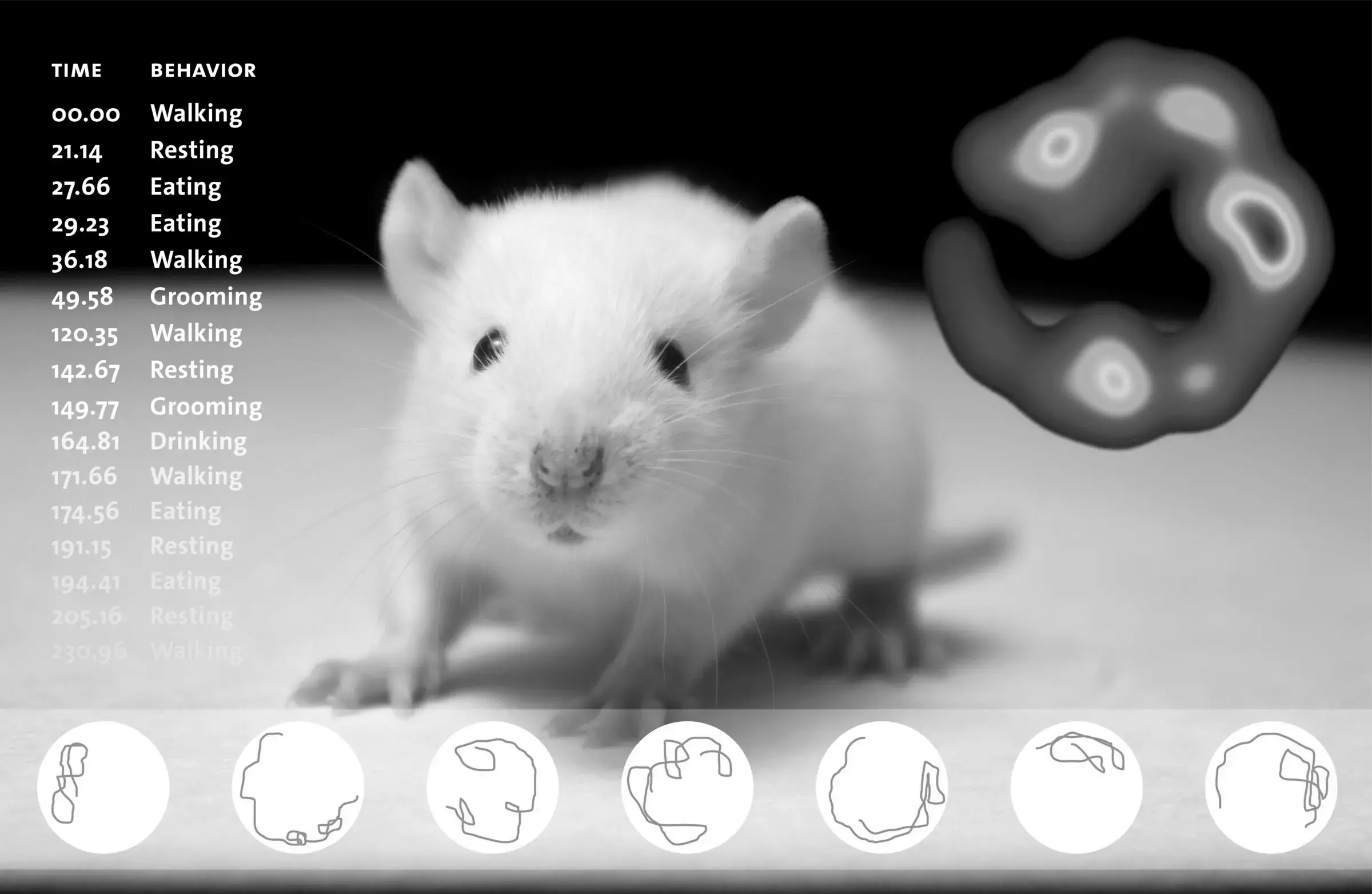 Decorative image for the landing page of the core facility.