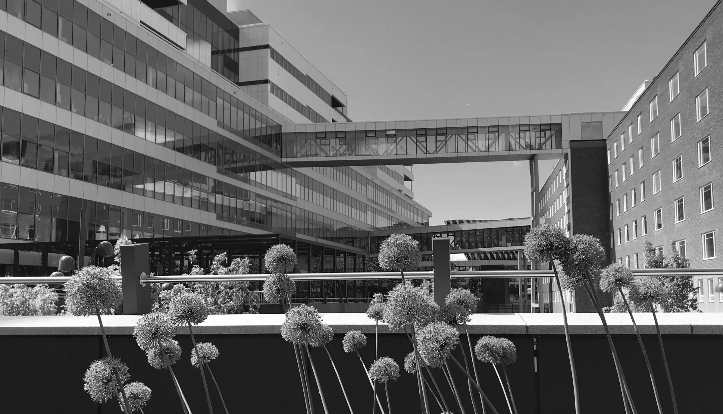 Gångvägen akademiska stråket mellan Karolinska Universitetssjukhuset, Bioclinicum och Aula Medica