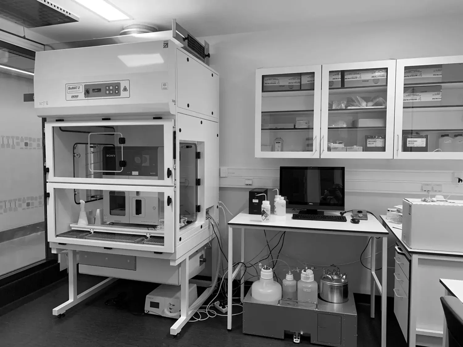 Cell sorter room, ANA Futura BSL3