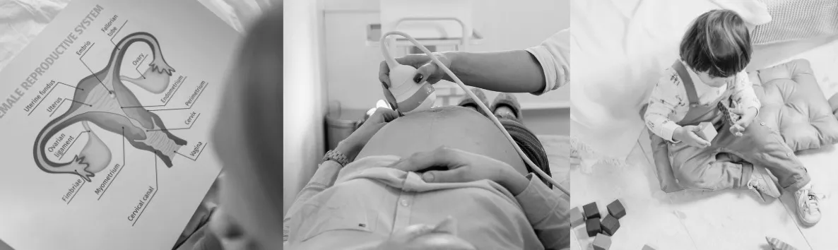 reproduction, sonogram, child with blocks