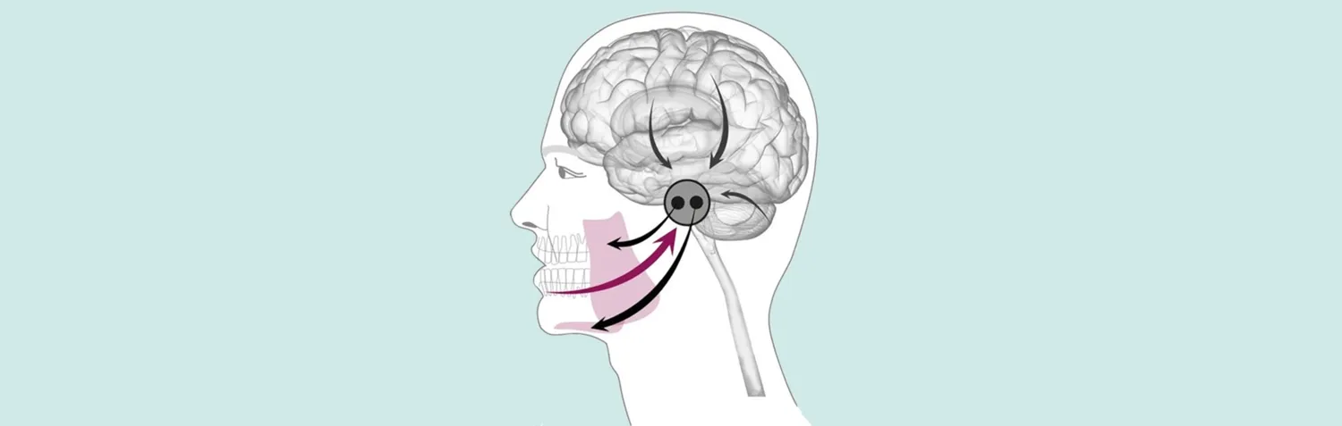 Illustration ansikte smärta