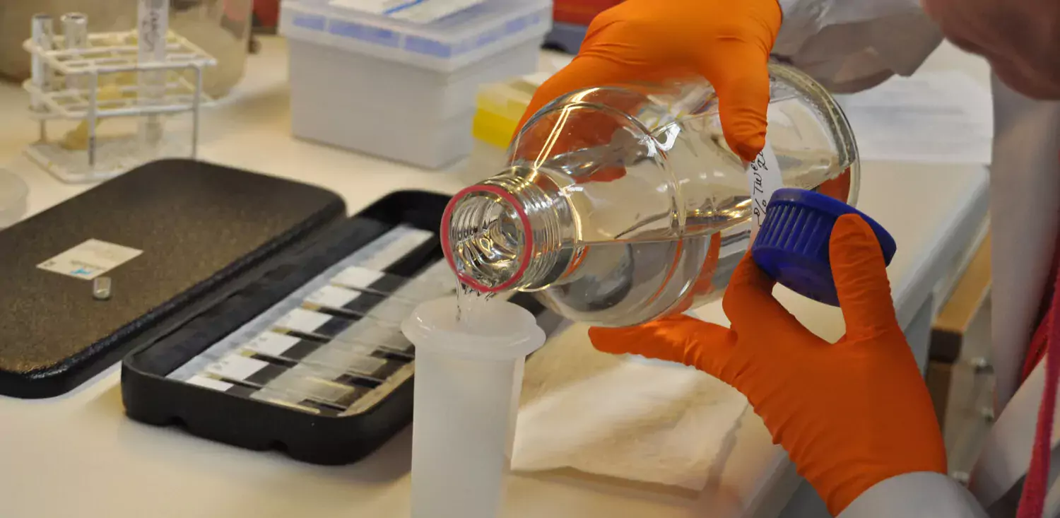 Research environment MMK