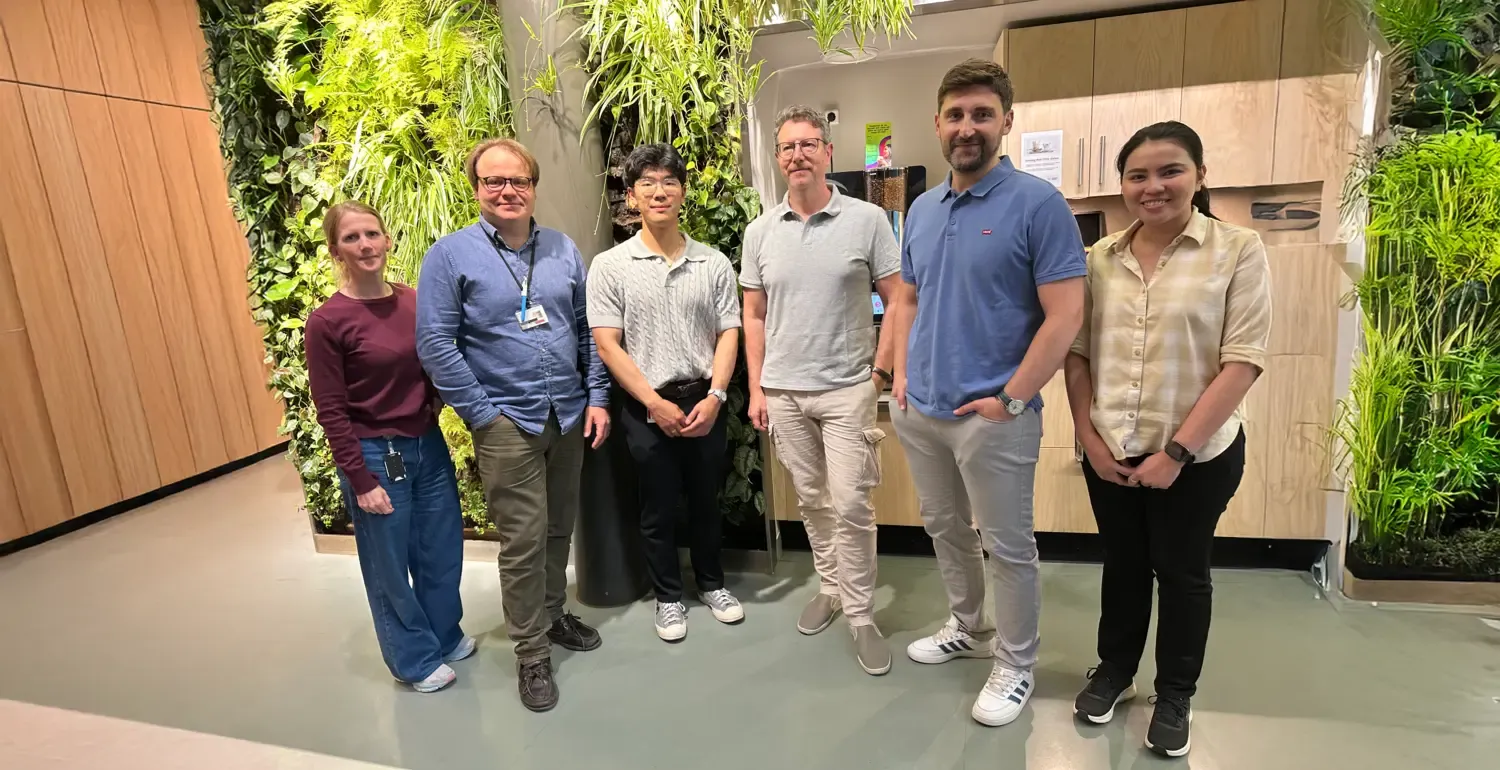 En grupp människor fyfa