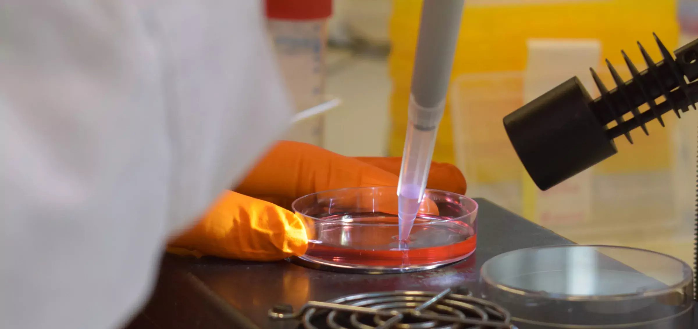 Närbild av laboration