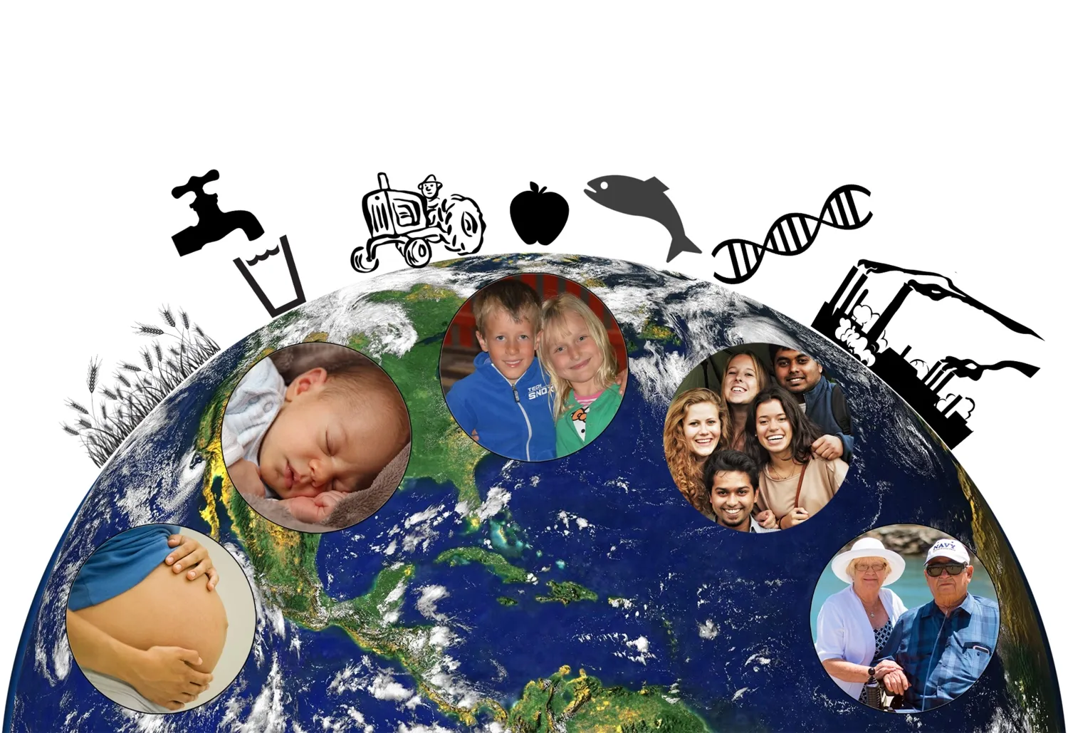 Metals & Health, IMM