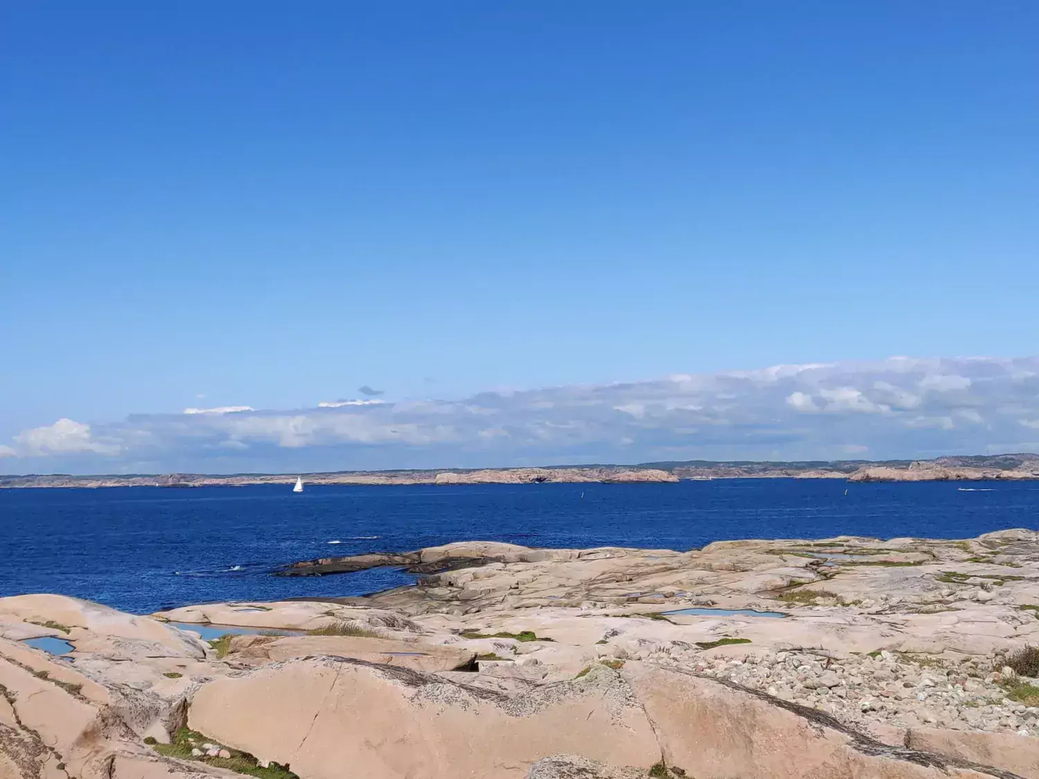 Ytterberg forskargrupp.