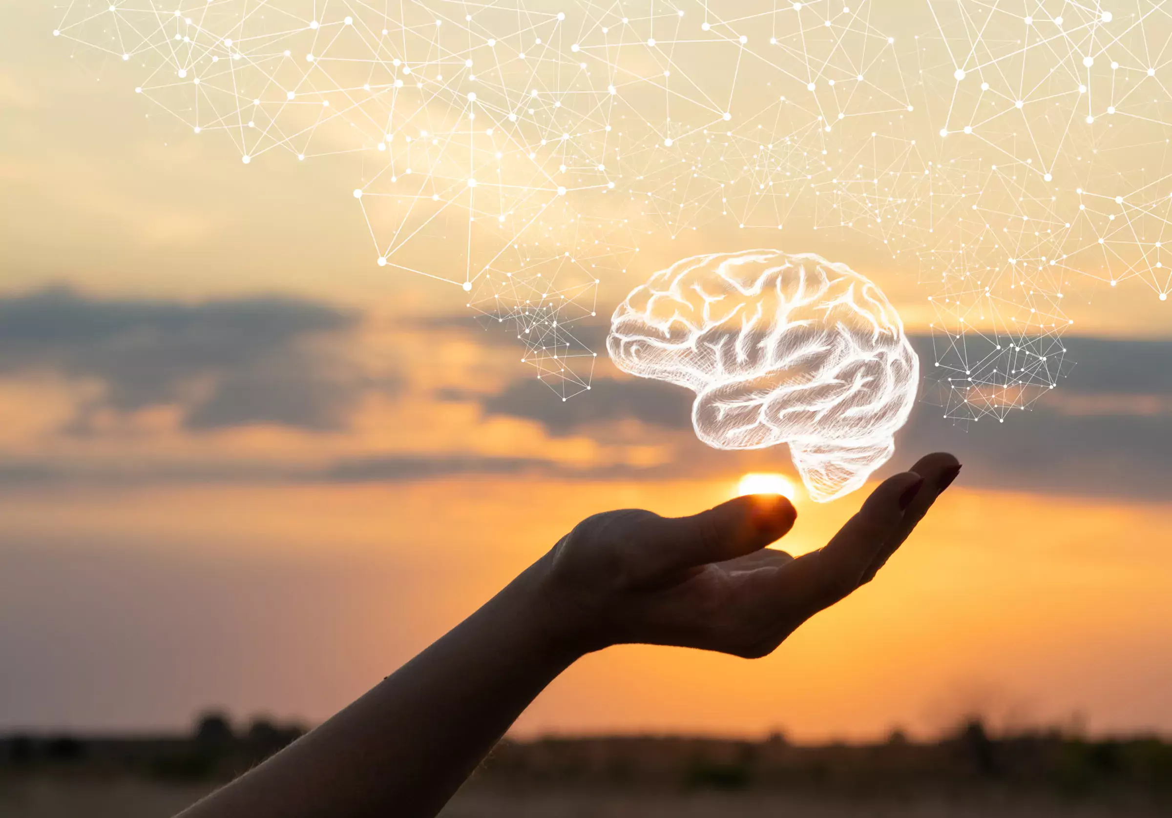 Illustration of hand holding a human brain.