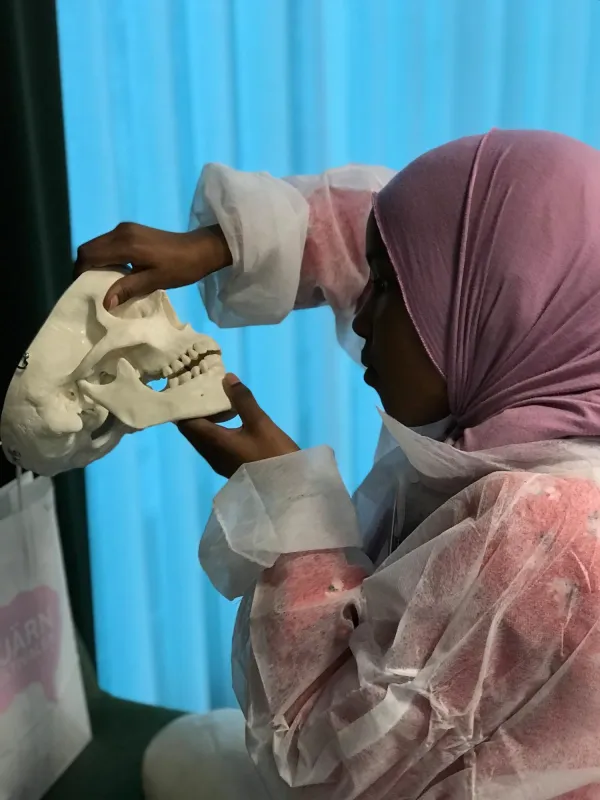 Flicka i skyddskläder som håller i och tittar på en plastmodell av en skalle.