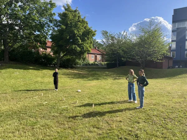 Picnic at Solna Campus