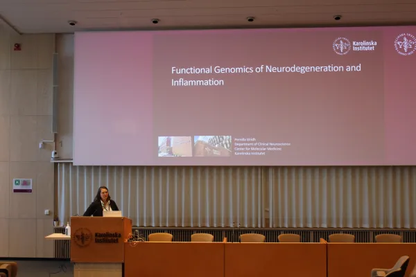 Neuro division day 202