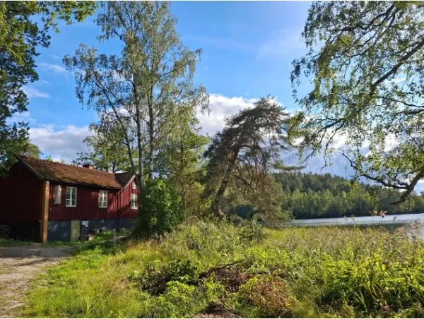 A house in a forest clearing, with a lake in the background.