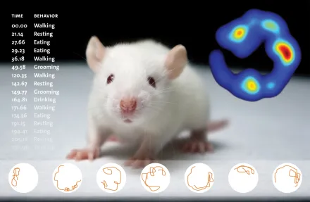 Decorative image for the landing page of the core facility.